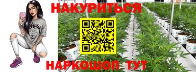 трава Северобайкальск