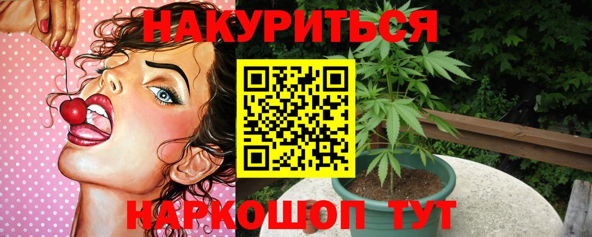 Нововоронеж  Конопля White Widow  Бошки Шишки конопля  Вход с VPN  МАРИХУАНА семена 